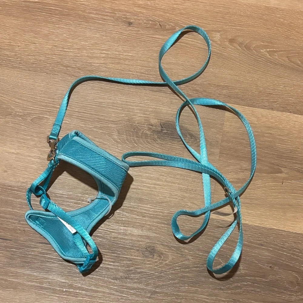 Turquoise Pet Harness and Leash Set